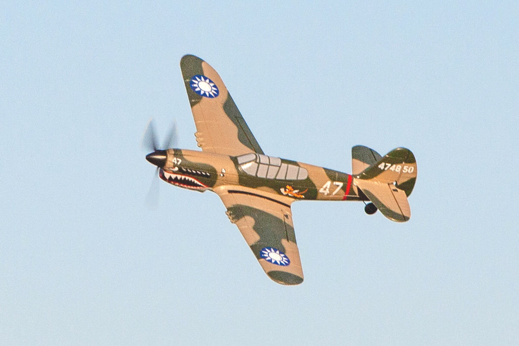 Rage Curtiss P-40 Warhawk Micro RTF Airplane w/ PASS - RGRA1305