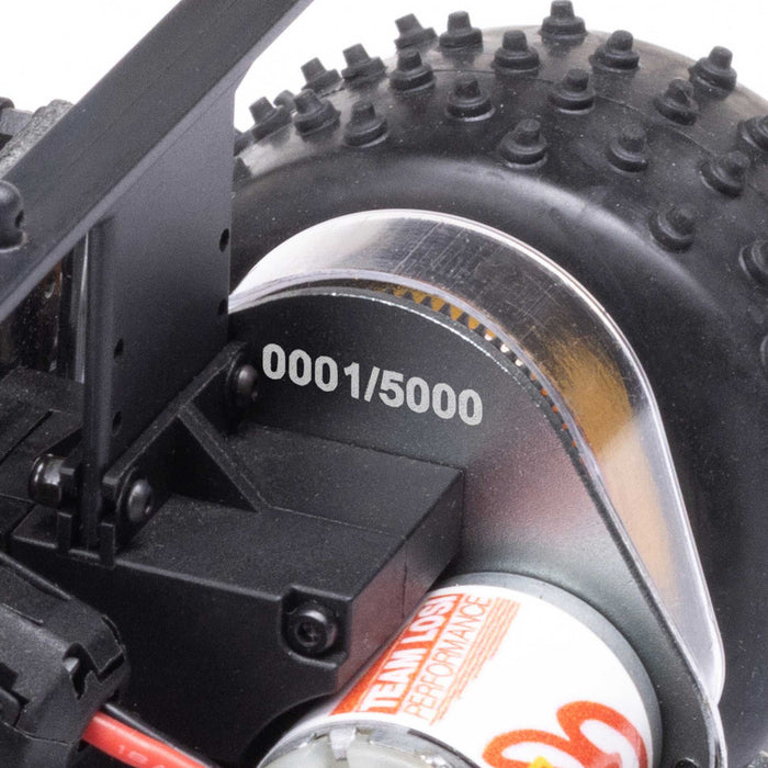 Losi 1/16 Mini JRXT 2WD Limited Edition RTR Racing Monster Truck